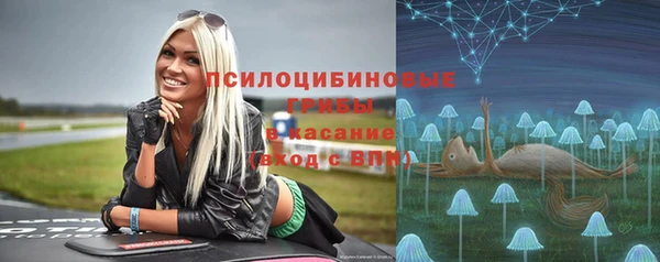 Альфа ПВП Протвино