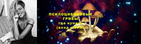 PSILOCYBIN Пролетарск