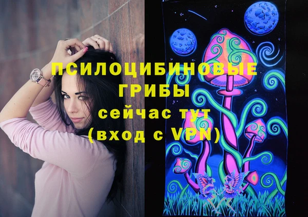 PSILOCYBIN Пролетарск